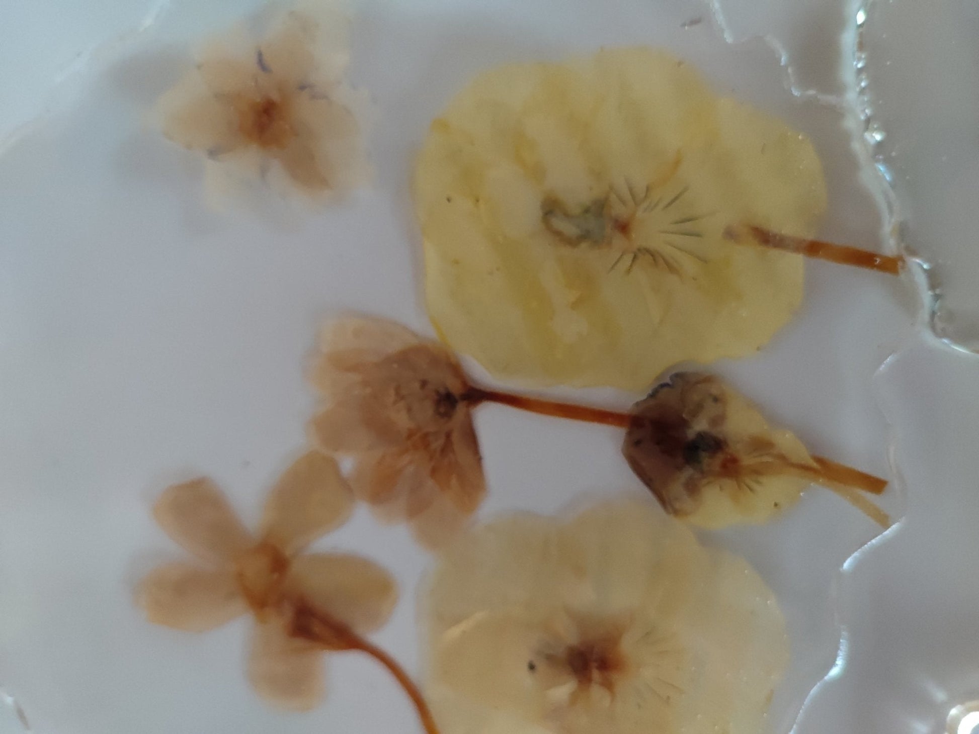 Sottobicchieri e sottobottiglia - Valmaflor#ValmaflorValmaflorSottobicchieri e sottobottiglia - Valmaflor#ValmaflorValmaflorSottobicchieri e sottobottiglia