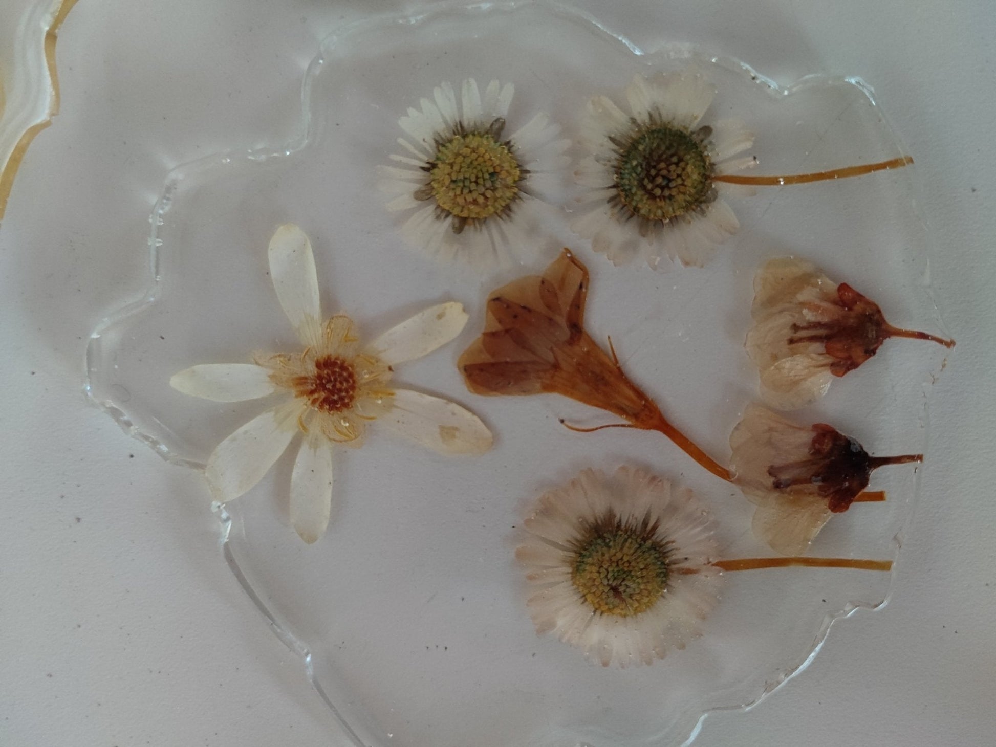 Sottobicchieri e sottobottiglia - Valmaflor#ValmaflorValmaflorSottobicchieri e sottobottiglia - Valmaflor#ValmaflorValmaflorSottobicchieri e sottobottiglia