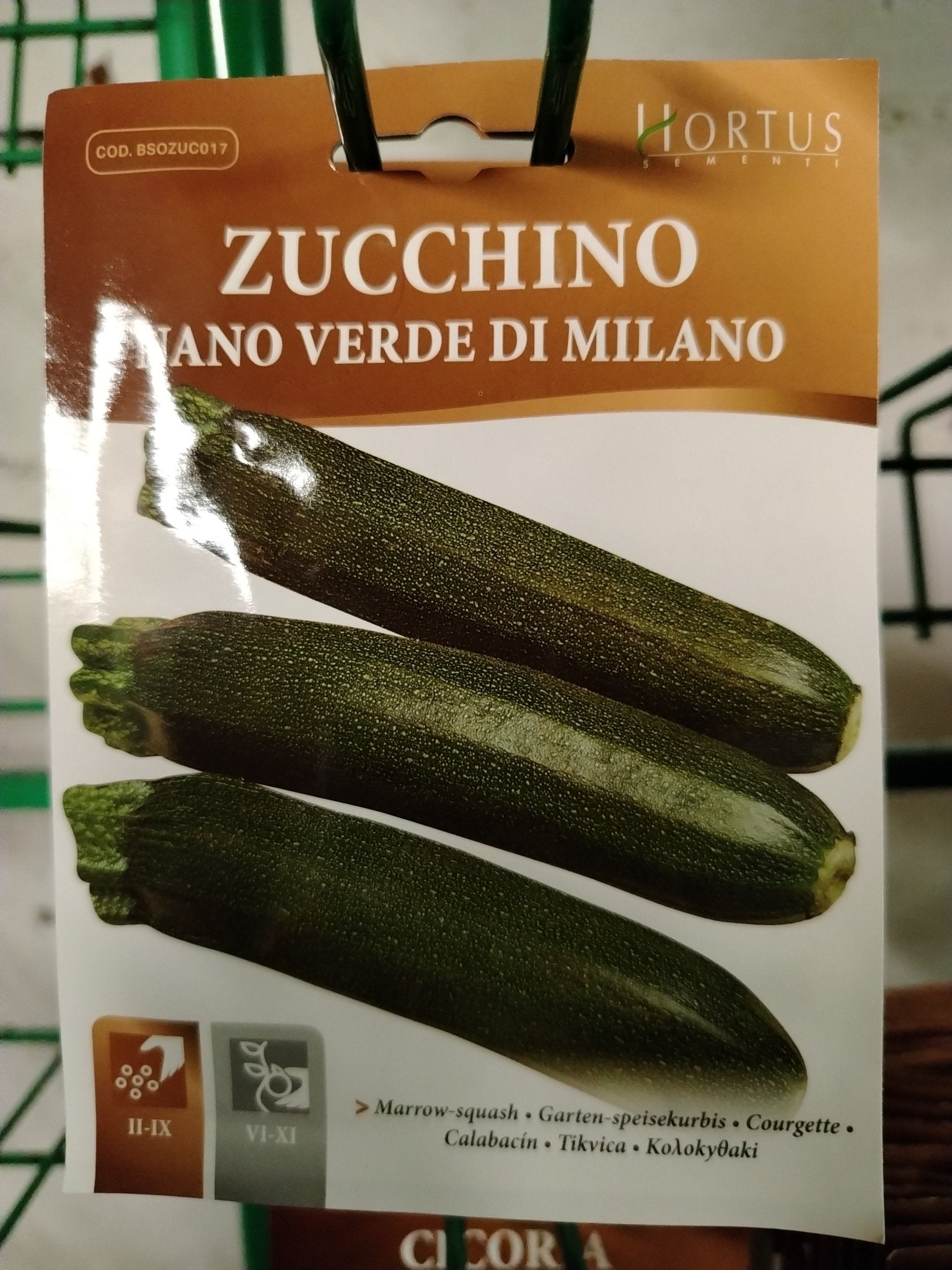 Zucchino nano verde di milano - ValmaflorValmaflorValmaflorZucchino nano verde di milano - ValmaflorValmaflorValmaflorZucchino nano verde di milano