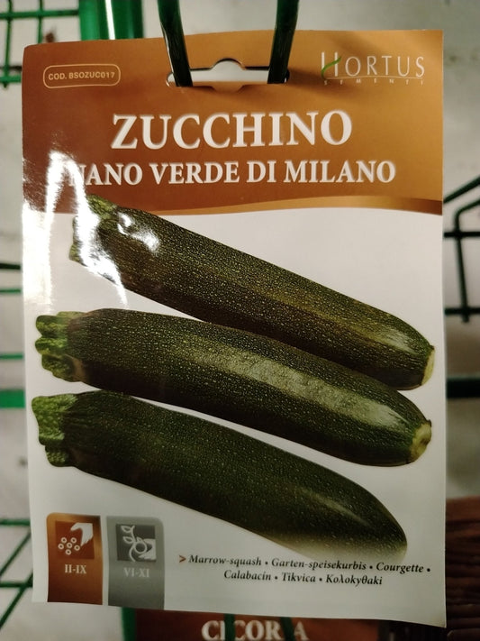 Zucchino nano verde di milano - ValmaflorValmaflorValmaflorZucchino nano verde di milano - ValmaflorValmaflorValmaflorZucchino nano verde di milano